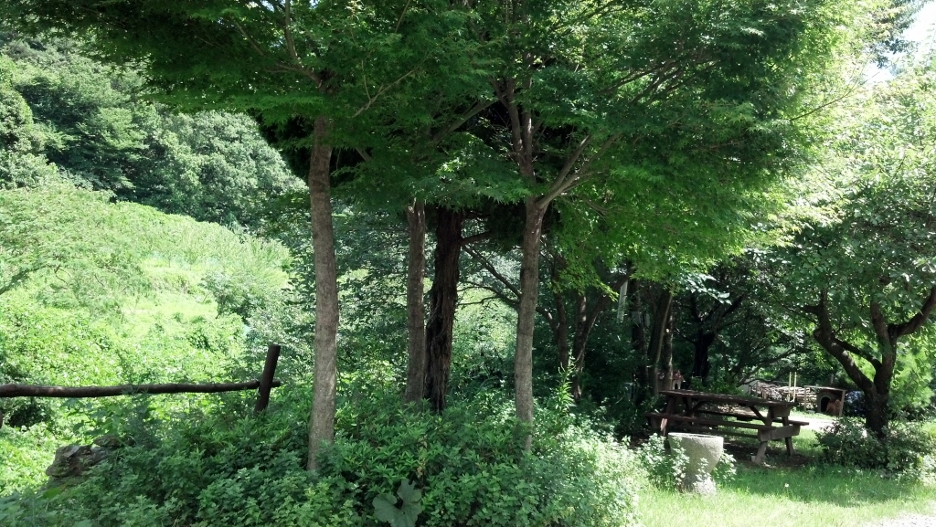 2015-07-25_14-05-41_764