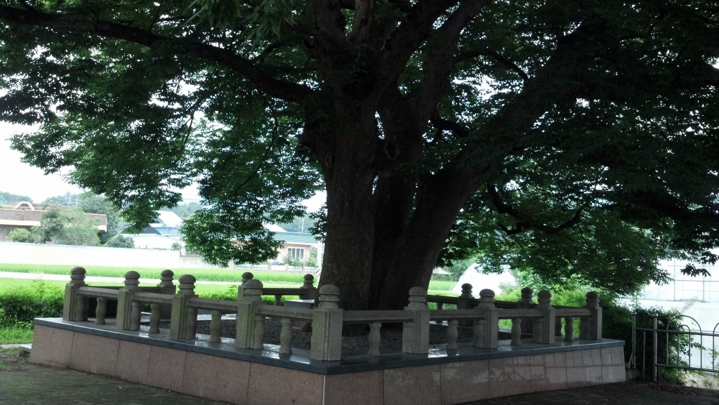 2015-08-22_13-23-21_917