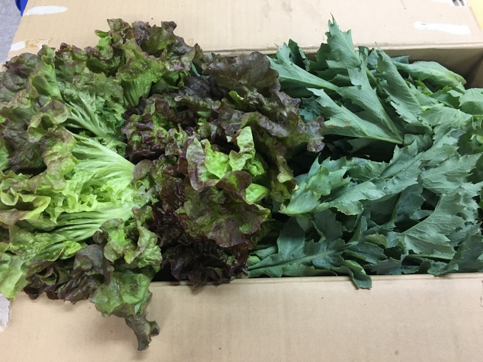 KakaoTalk_20170508_180902031